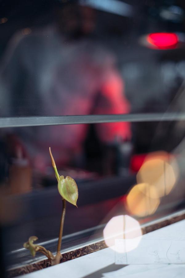 La Pampa Relais & Spa 멜리차노 외부 사진